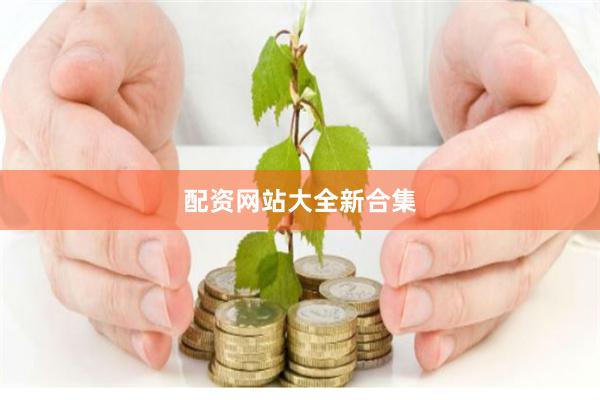 配资网站大全新合集